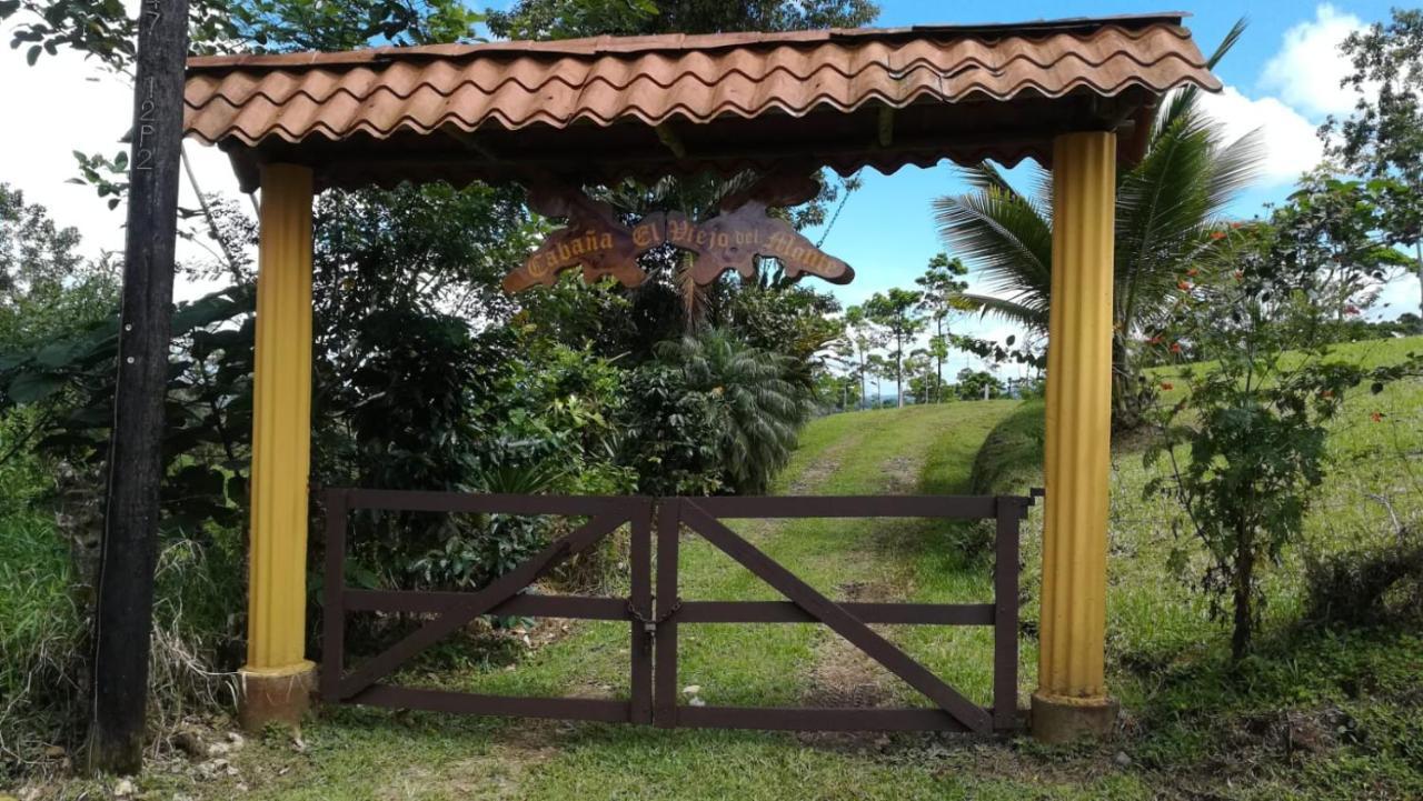 Cabana El Viejo Del Monte Venecia Ngoại thất bức ảnh